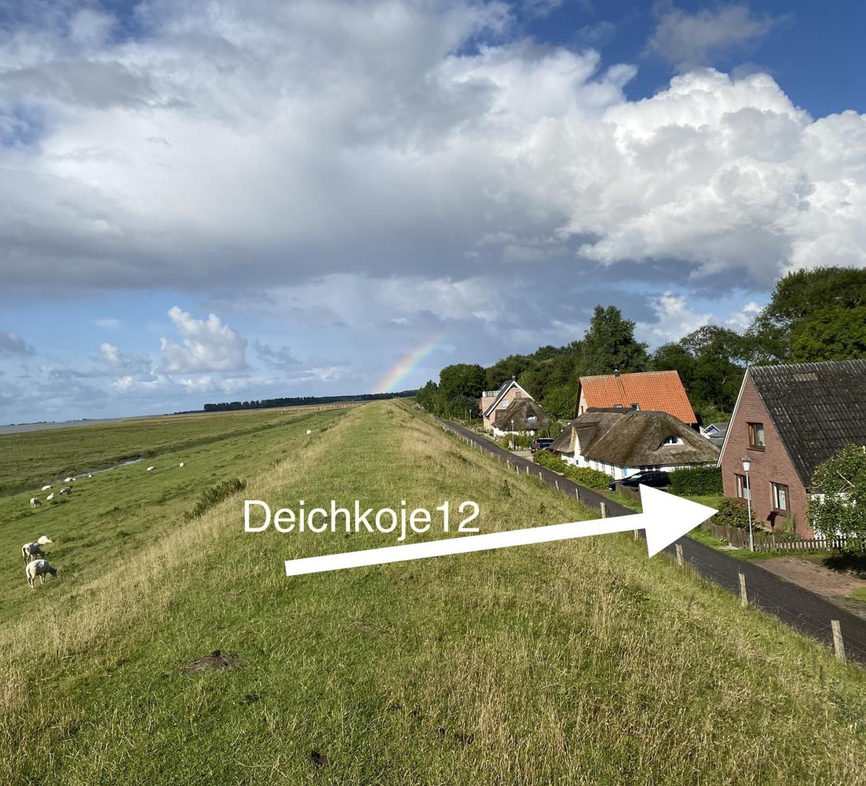 Tönning Deichkoje12 Direkt Am Eiderdeich Nur 7 Km Bis Zur Nordsee Und 20 Min Bis Sankt Peter Ording מראה חיצוני תמונה